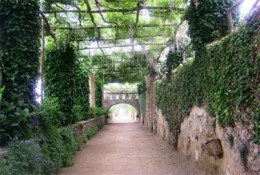 Amalfi Gardens A wisteria-covered pergola graces the Avenue of Immensity at Villa Cimbrone in Ravello, on the Amalfi Coast.